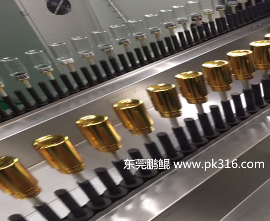 玻璃瓶自動(dòng)噴涂線.