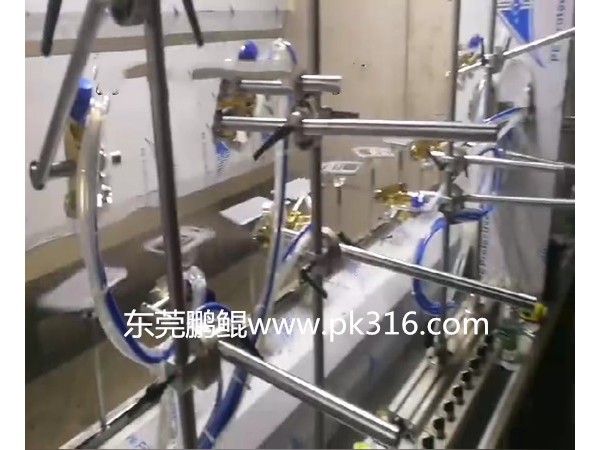 電子稱自動(dòng)噴涂流水線